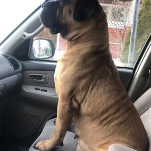 Meet your Posher, East